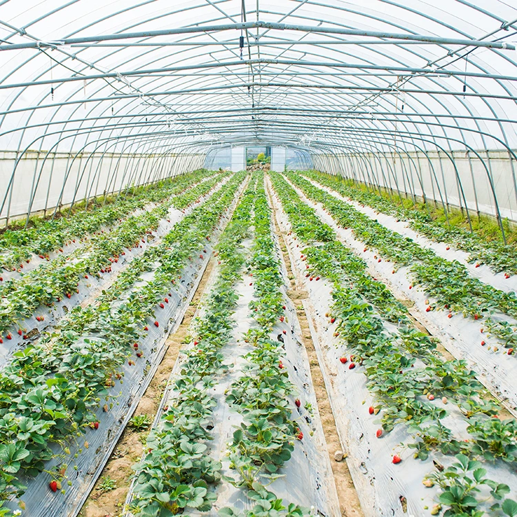 Agriculture