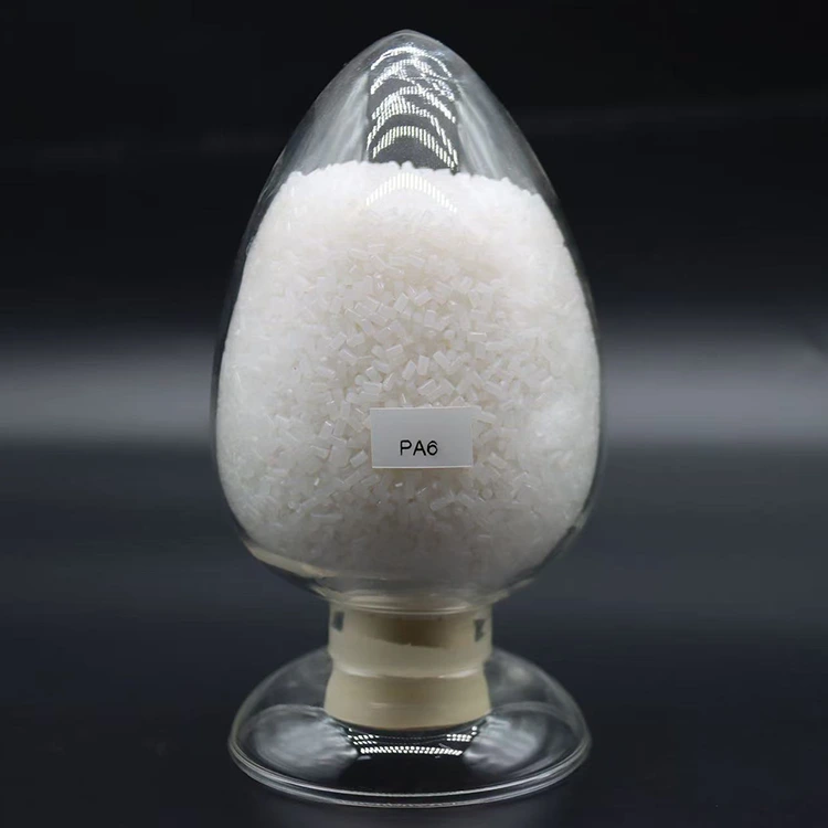 Granulés de nylon PA6 biodégradables